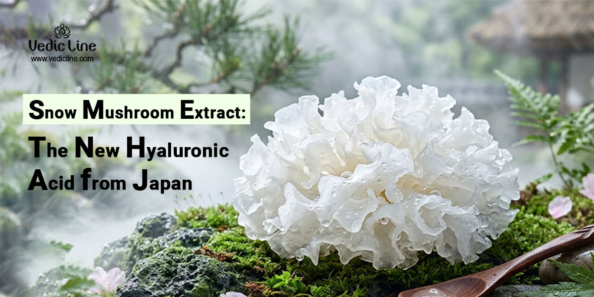 Snow Mushroom Extract: The New Hyaluronic Acid from Japan